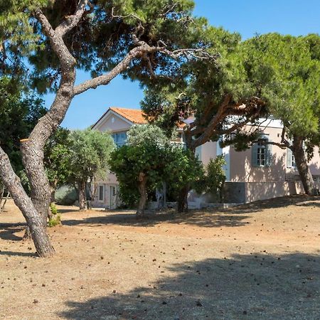 Dellagracia Mansion In Poseidonia Syros Villa Posidhonía Dış mekan fotoğraf