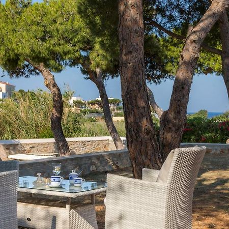 Dellagracia Mansion In Poseidonia Syros Villa Posidhonía Dış mekan fotoğraf