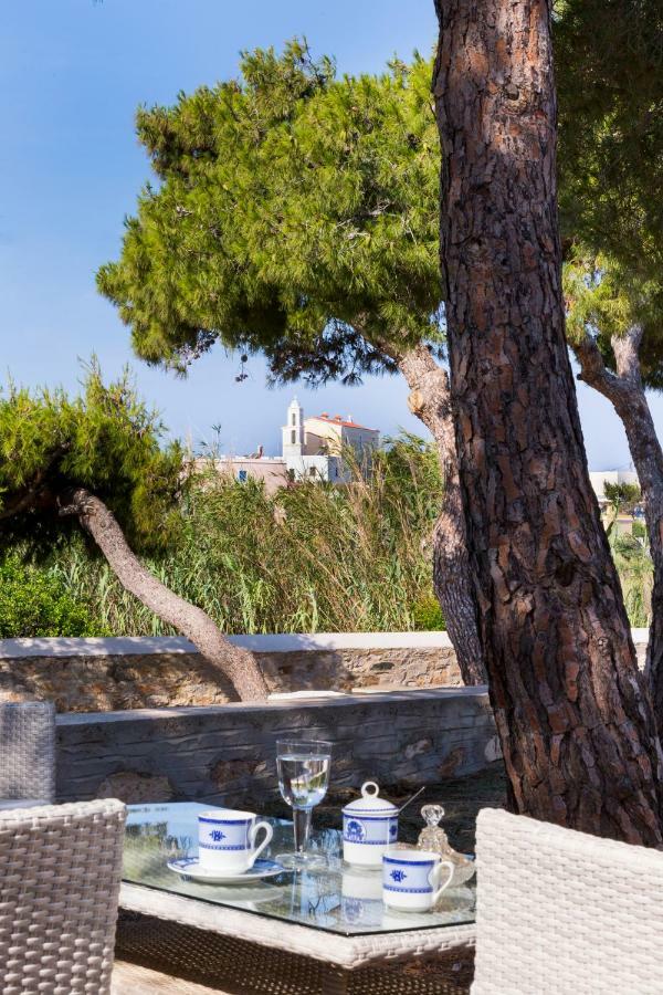 Dellagracia Mansion In Poseidonia Syros Villa Posidhonía Dış mekan fotoğraf